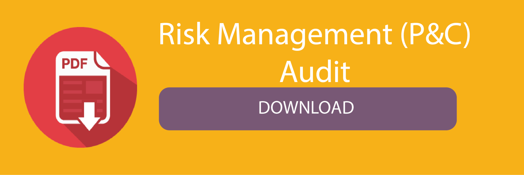 Master Audit